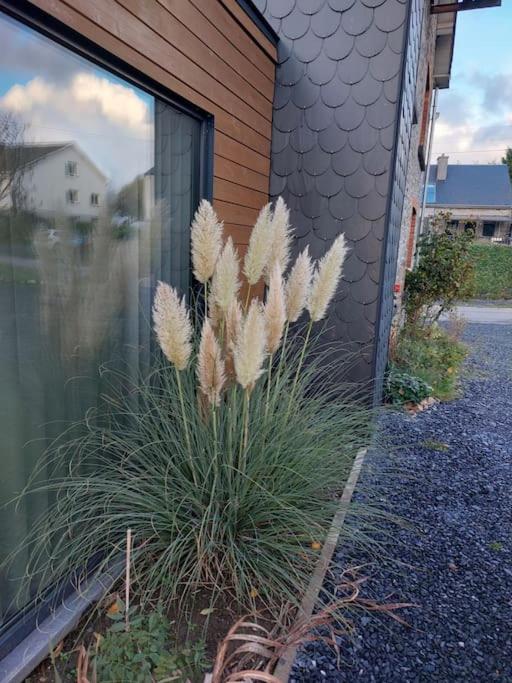 Le Reposoir Maison spacieuse avec feu au bois Bertogne Extérieur photo